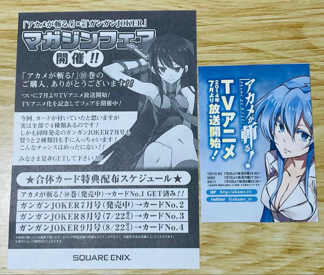 エスデス 特典 イラストカード コースター アカメが斬る！