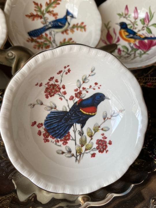 ②MADE IN ENGLAND老舗窯 CAULDON小鳥mini絵皿