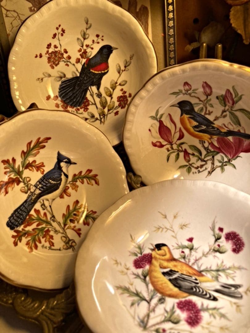 ②MADE IN ENGLAND老舗窯 CAULDON小鳥mini絵皿
