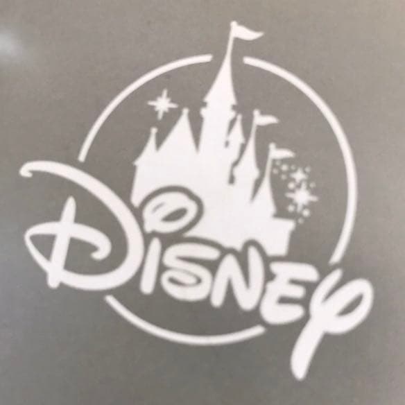 新品☆ディズニー アナと雪の女王2 ランプシェードパズル エルサ&アナ