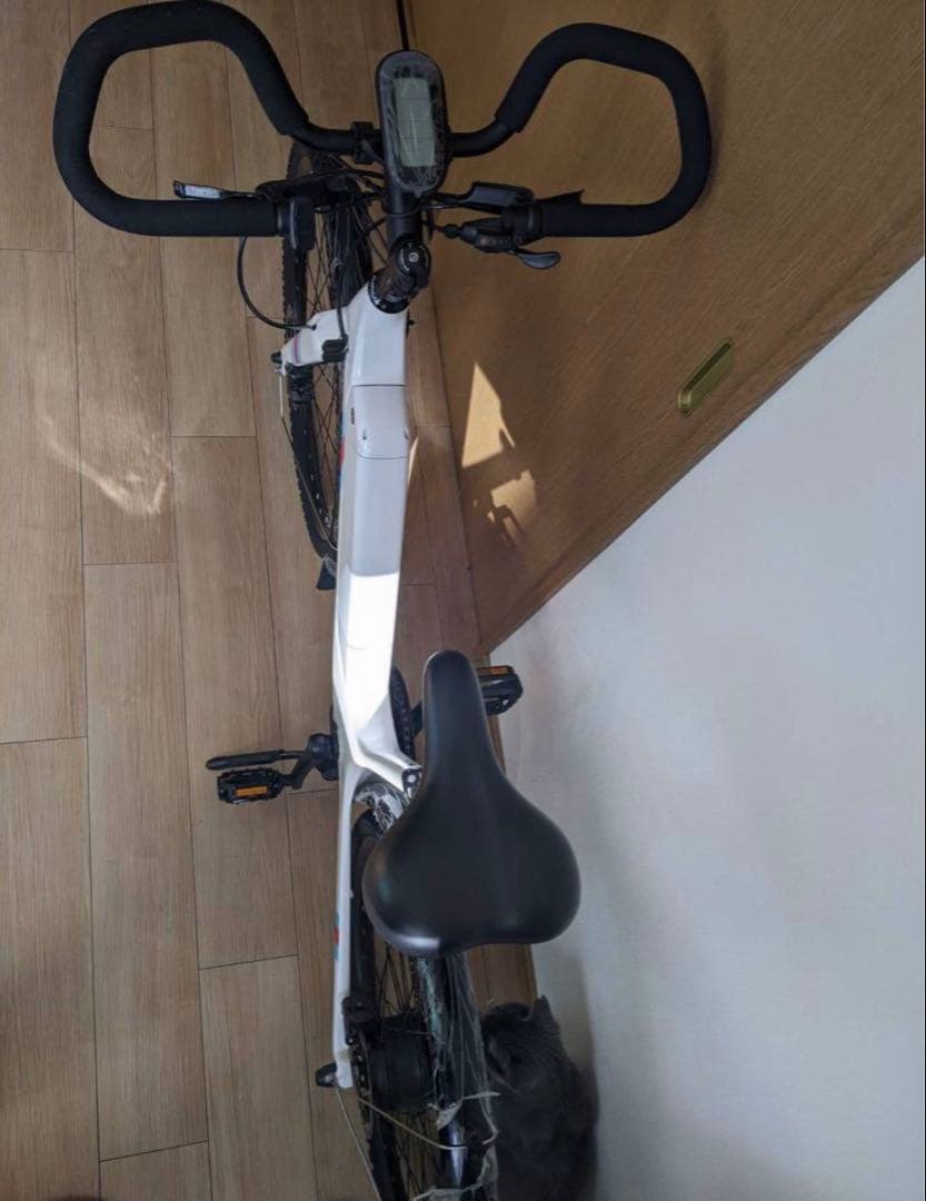 フルカーボン　電動アシストスポーツバイク自転車 26インチ車重13kg