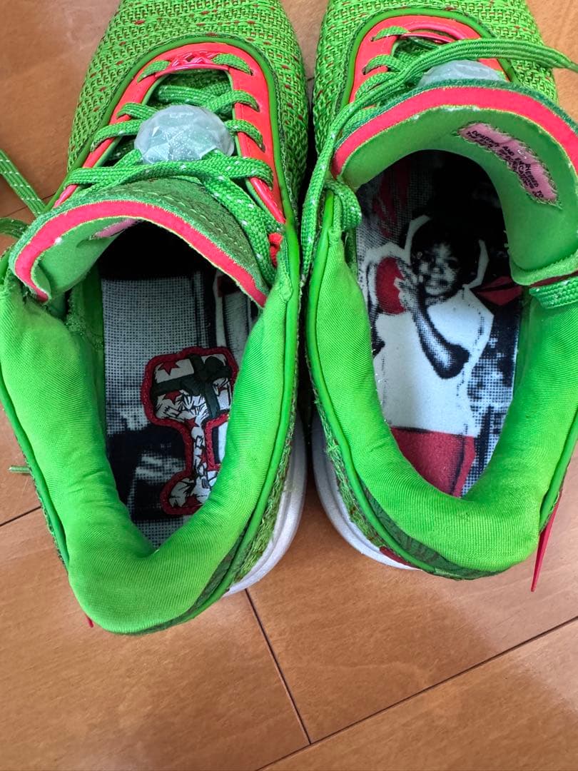 Nike バスケットシューズ グリーン/レッド