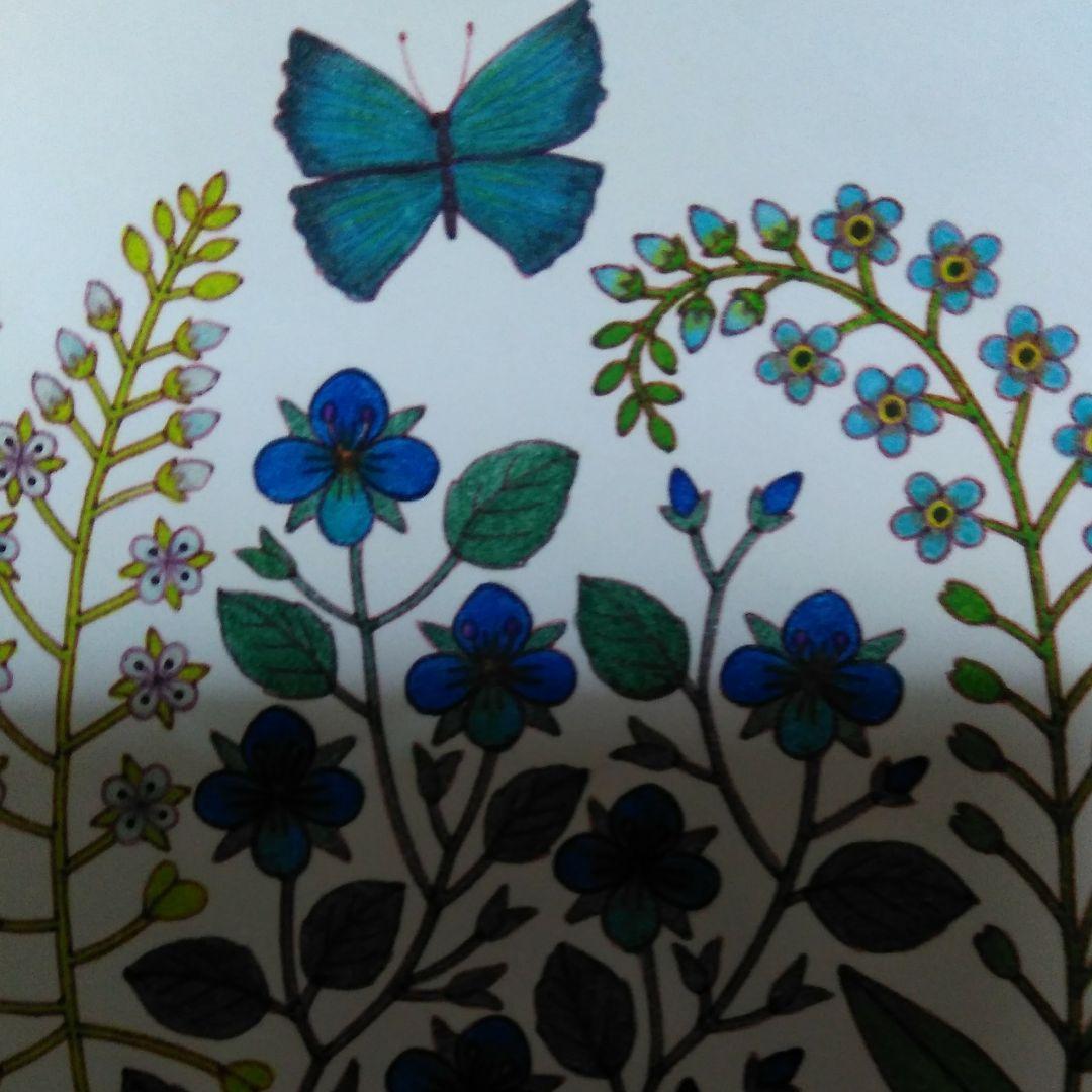オオイヌノフグリ＊ナズナ＊キュウリグサ＊シジミチョウ♡植物画
