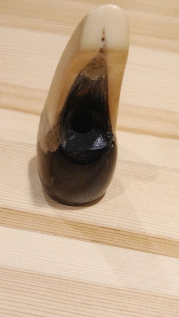 【貴重な素材】三線用バチ 黒と白のツートンカラー