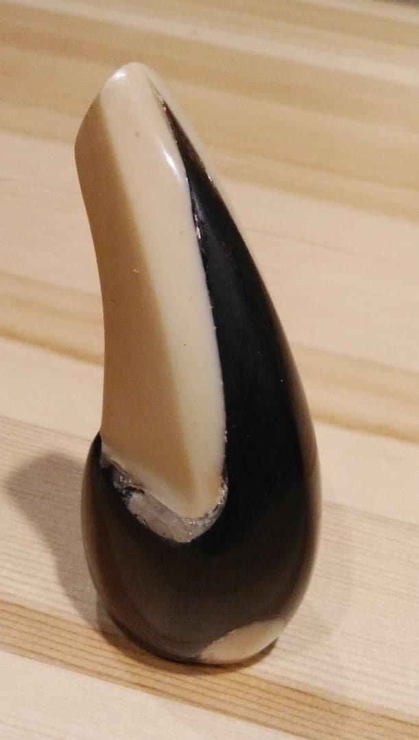【貴重な素材】三線用バチ 黒と白のツートンカラー