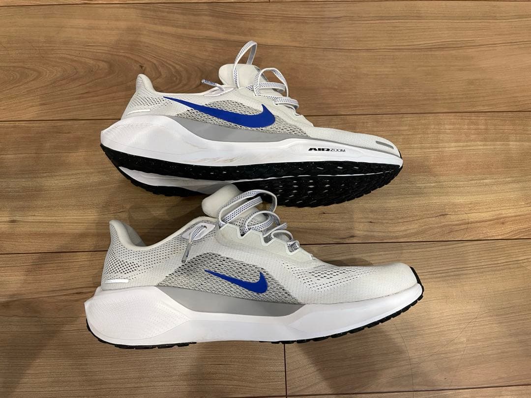 NIKE ペガサス41 27.5cm