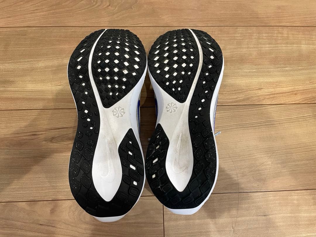 NIKE ペガサス41 27.5cm