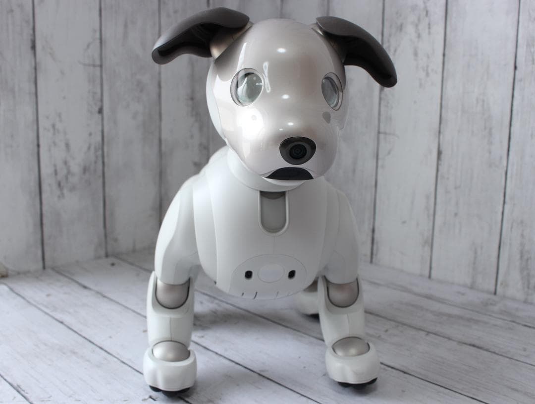 SONY AIBO アイボ 本体 ERS-1000 SIMカードなし