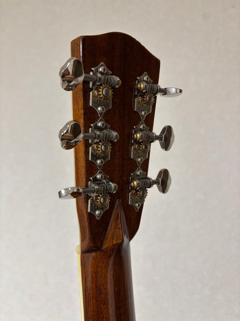 ギター Headway MTD 20