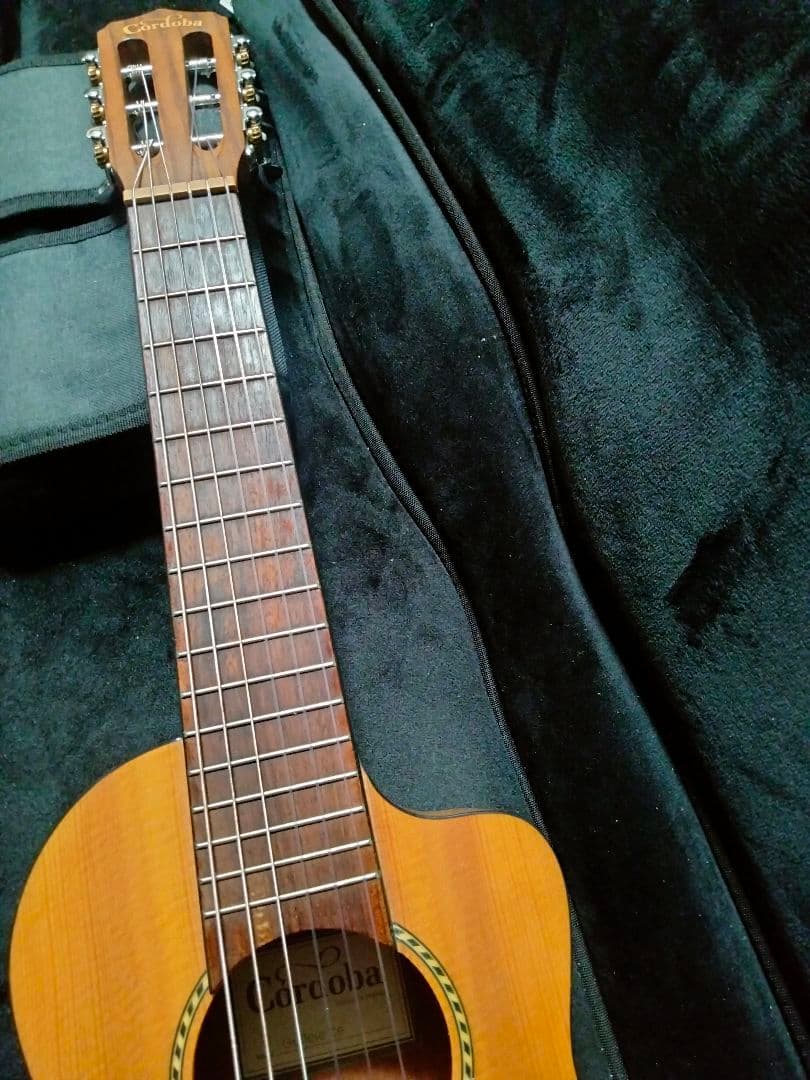 Cordoba Guilele CE ミニエレガットギター コルドバ 生産完了