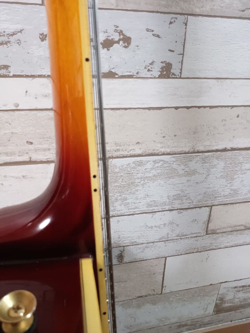 フルアコ Epiphone ジョーパス EmperorII 純正ハードケース付