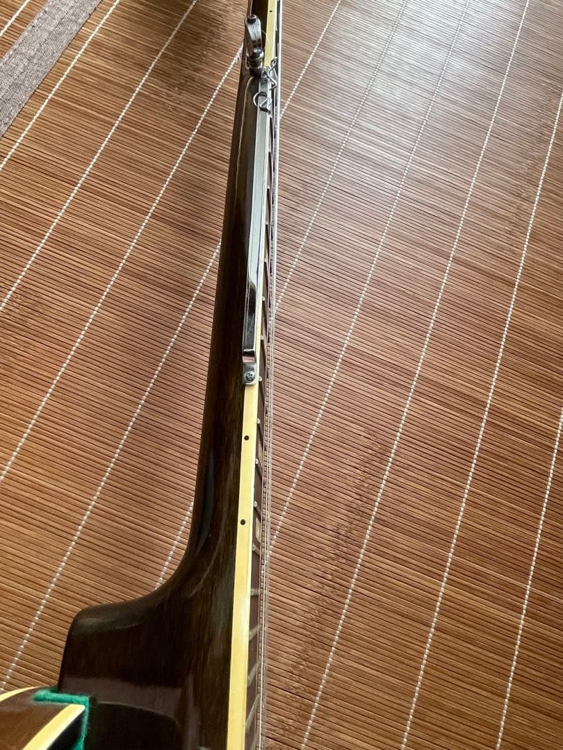 Tenesy Standard バンジョー5弦　ケース付き