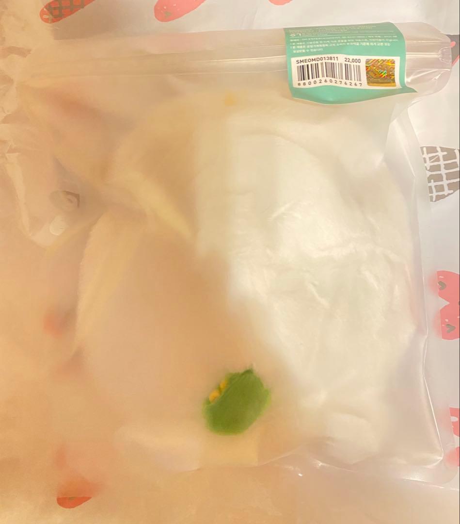 RIIZE アントン ペンライト カバー モンリョンイ 新品 未開封