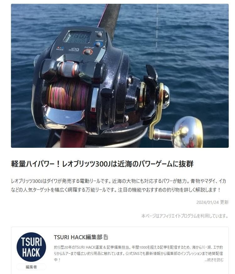 15 レオブリッツ 300J ダイワ 電動リール LEOBRITZ
