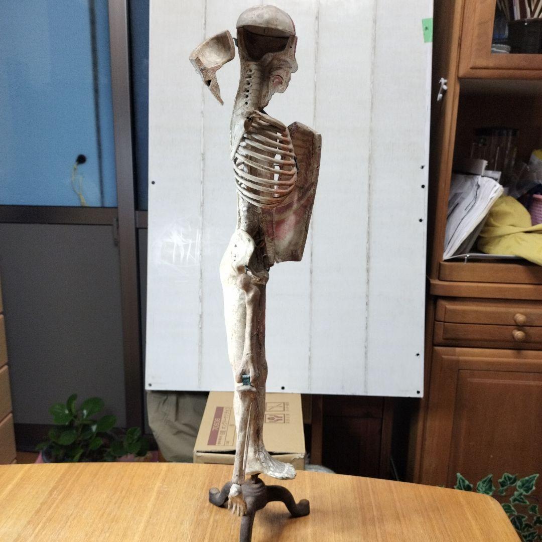 人体模型 　大昔の張り子　約60cm