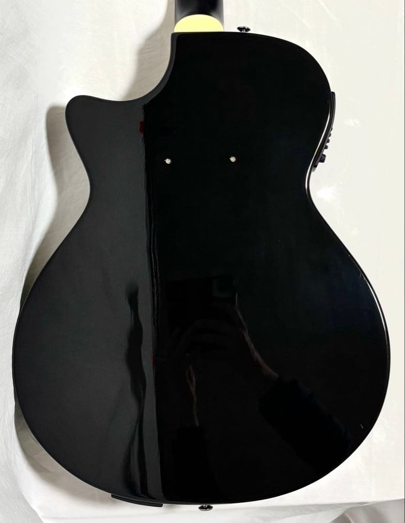 【新品弦張替済】CRAFTER エレアコ SA-TMBK L.R.Baggs