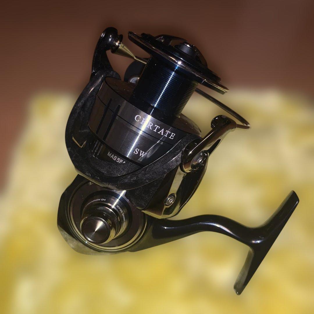 すえじゅん　　　Daiwa CERTATE SW 6000-P リール