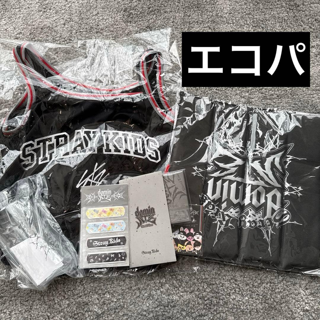 STRAY KIDS スキズ　エコパ　ドーム　アプグレ特典　グッズ　セット