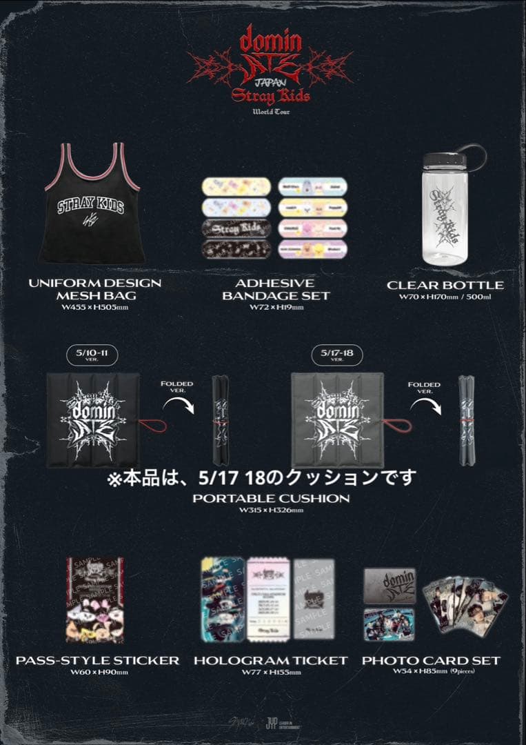 STRAY KIDS スキズ　エコパ　ドーム　アプグレ特典　グッズ　セット