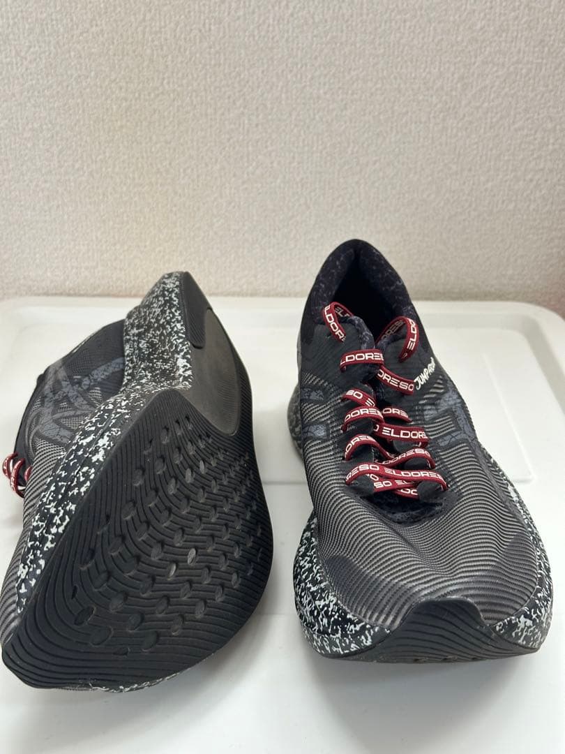 ASICS × Eldoreso S4 24.5cm