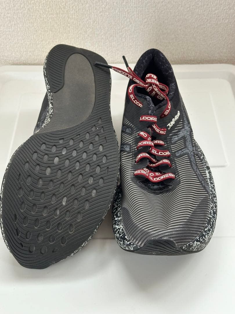 ASICS × Eldoreso S4 24.5cm