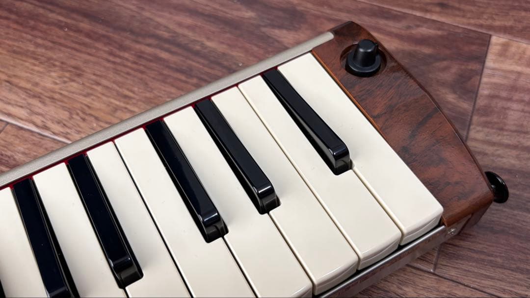 Hammond PRO44HV2 鍵盤ハーモニカ
