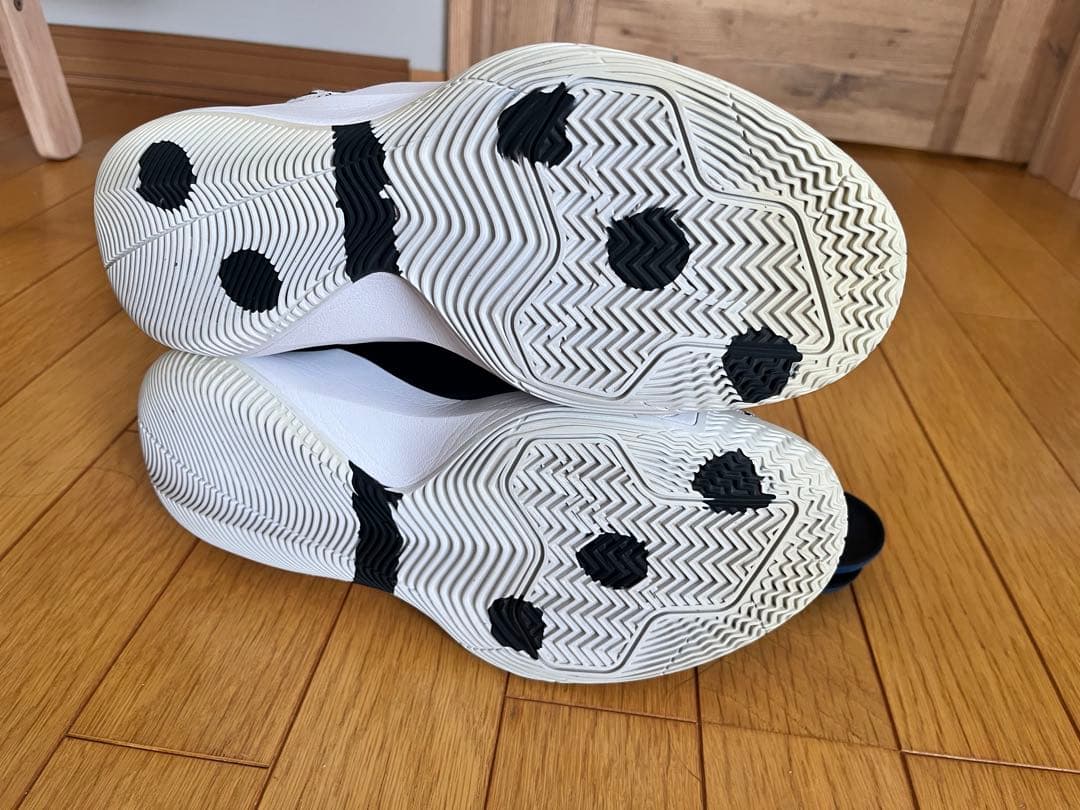 シューズ(男性用) AIR JORDAN JORDAN CP3.XII