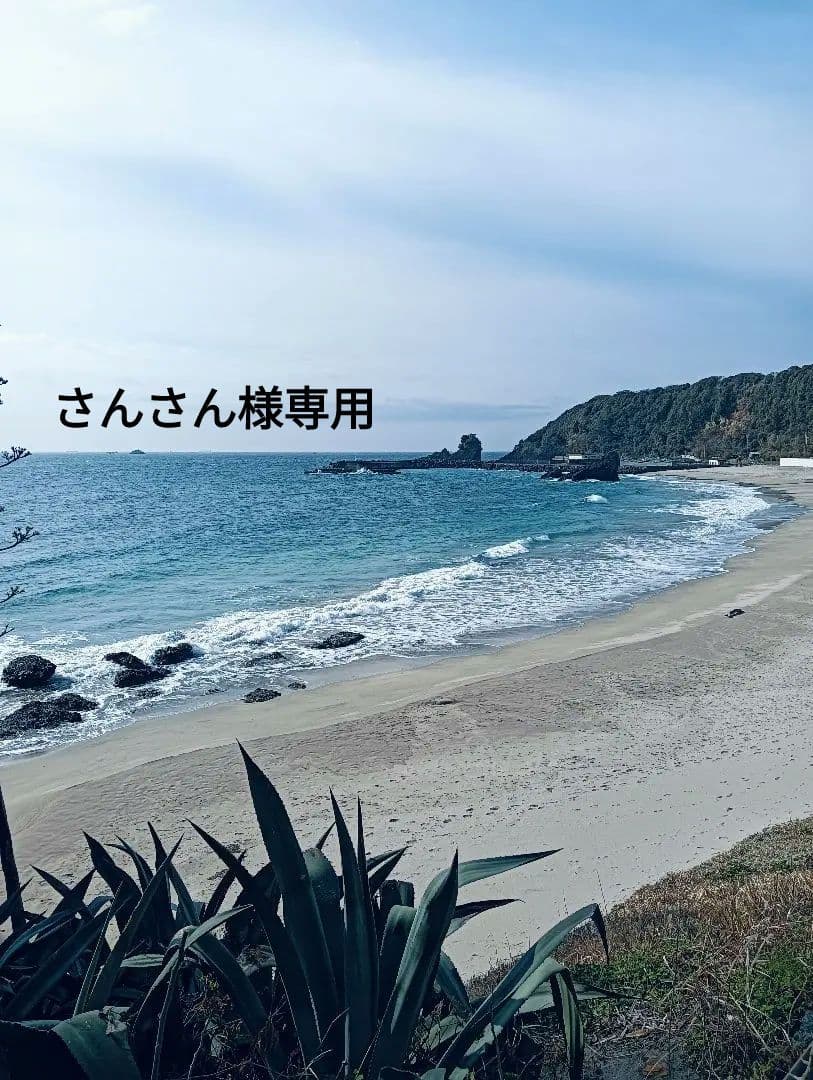 さんさん