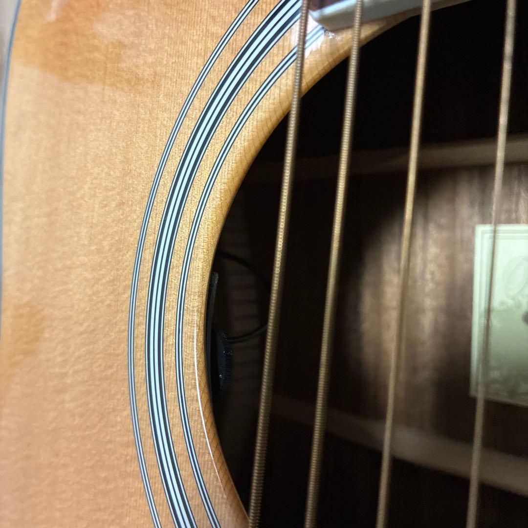 ギター James j-450d