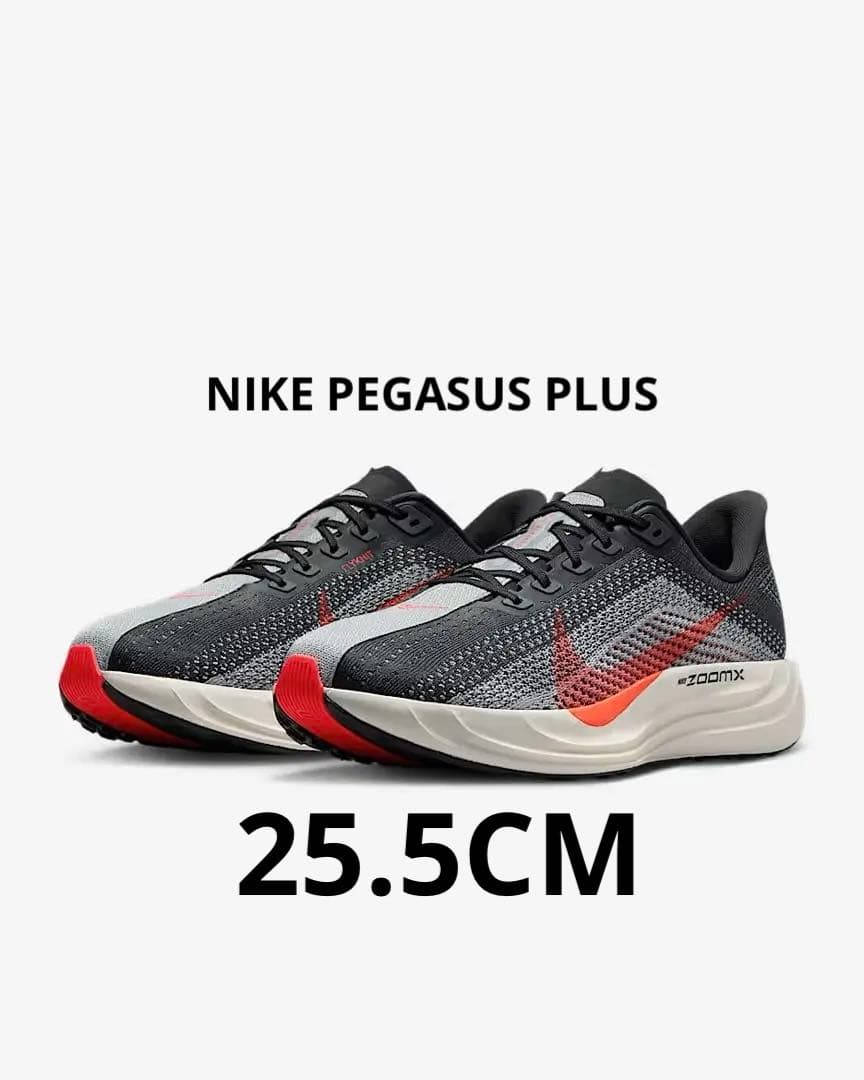NIKE PEGASUS PLUS メンズ　25.5 ¥22,000(税込)