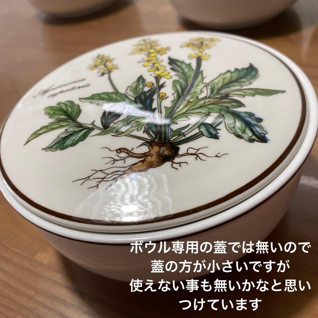 ボタニカ　ボウル　鉢　丼　ビレロイボッホ　ビレロイ＆ボッホ　4点