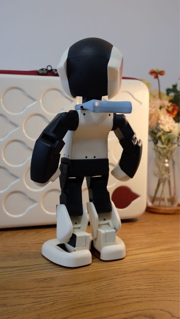 【美品】デアゴスティーニ　ロビ　ROBI　完成品　ケース付き