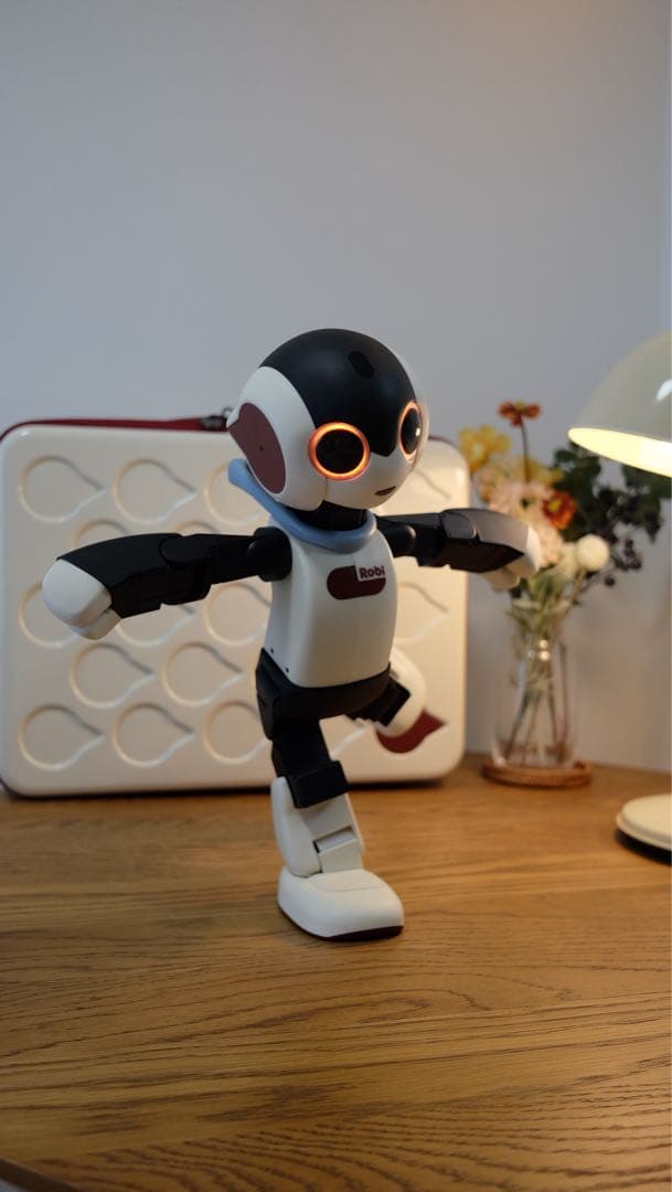【美品】デアゴスティーニ　ロビ　ROBI　完成品　ケース付き