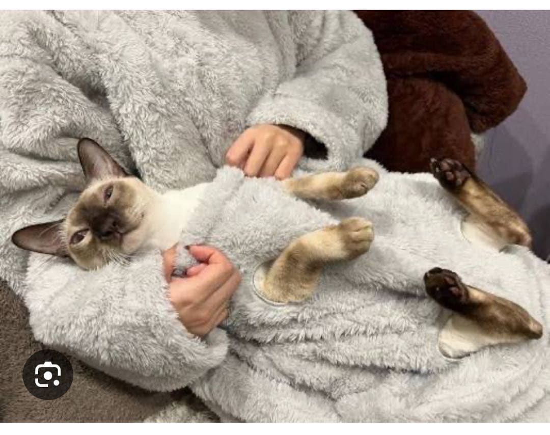 着る毛布 にゃんぽけ　ニャンポケ にゃんポケ　ニトリ　犬用　猫用　新品未使用