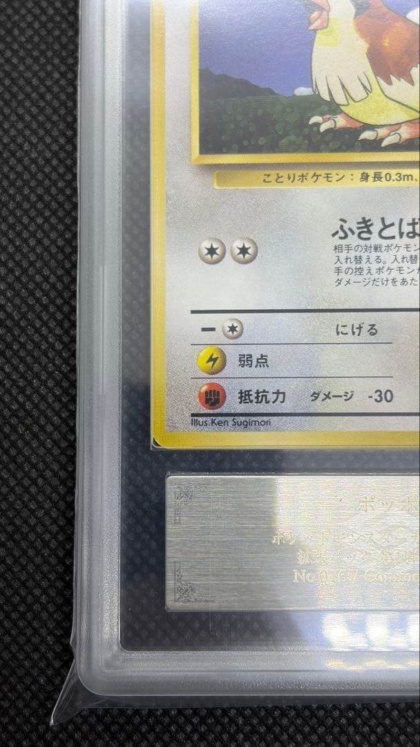 ポッポ 初版 旧裏 マークなし ARS10 PSA10相当【世界に3枚】