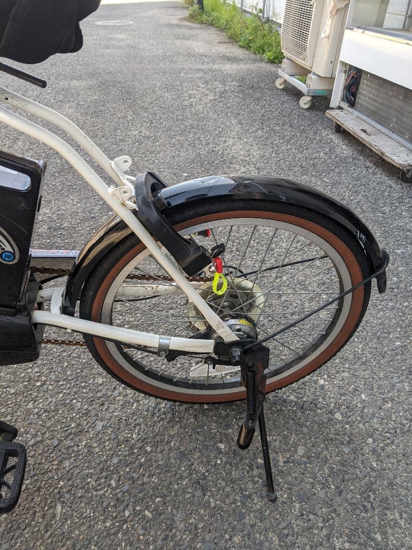 20インチ 折り畳み電動アシスト自転車 外装6段変速 (TDN-206L)