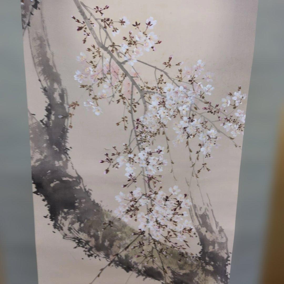 今井景樹　桜　掛軸