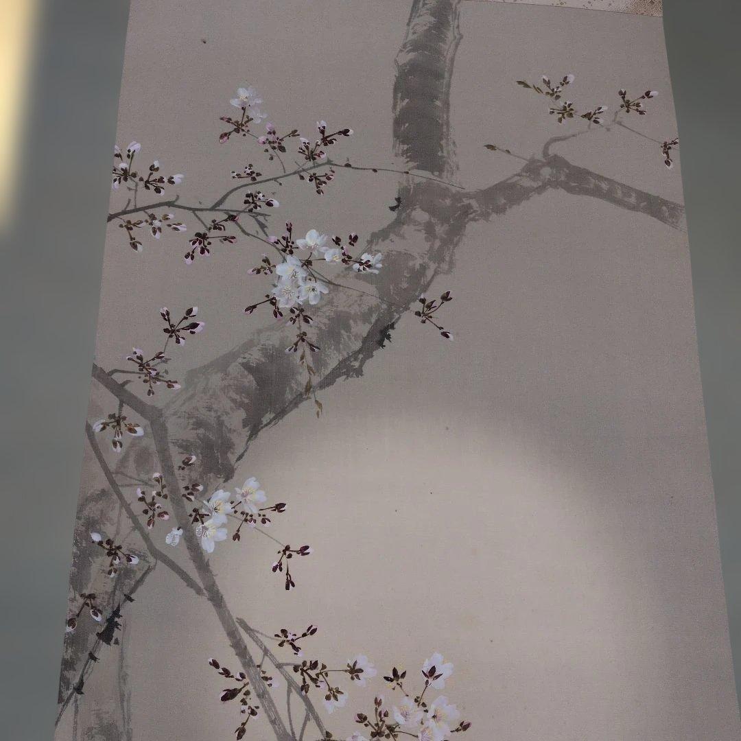 今井景樹　桜　掛軸