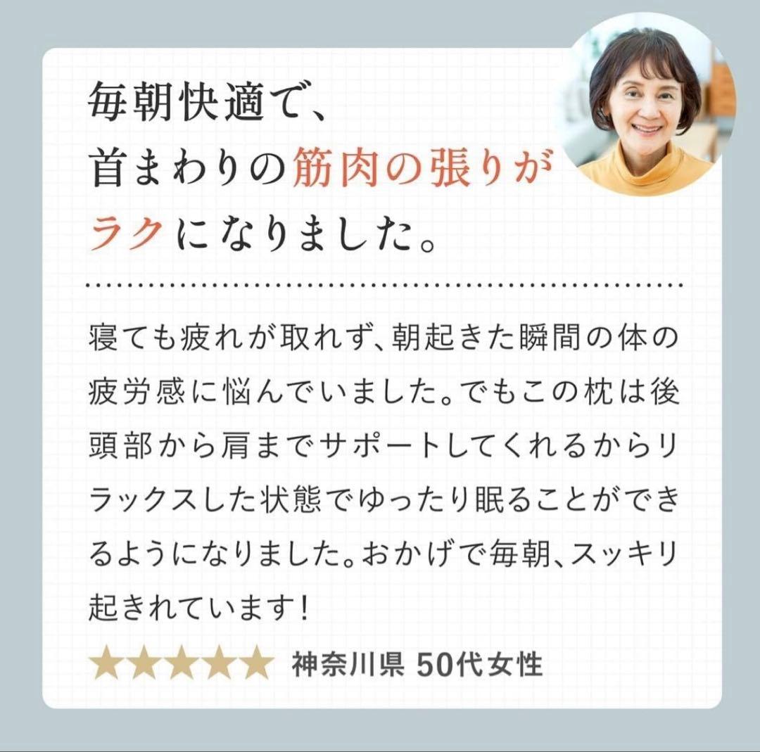 CALQS ダブル枕PLUS パールグレー(冷感素材) SurvaQ サバキュー
