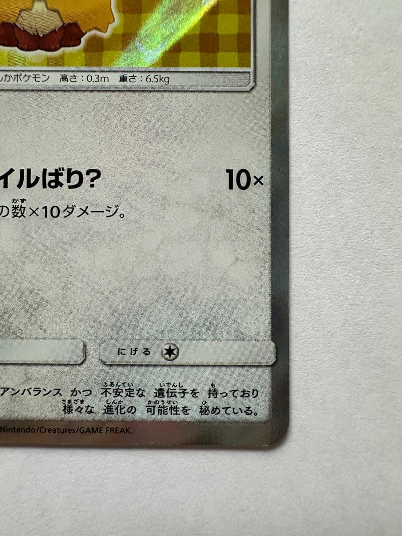 ポンチョを着たイーブイ　サンダース プロモ ポケモンカード