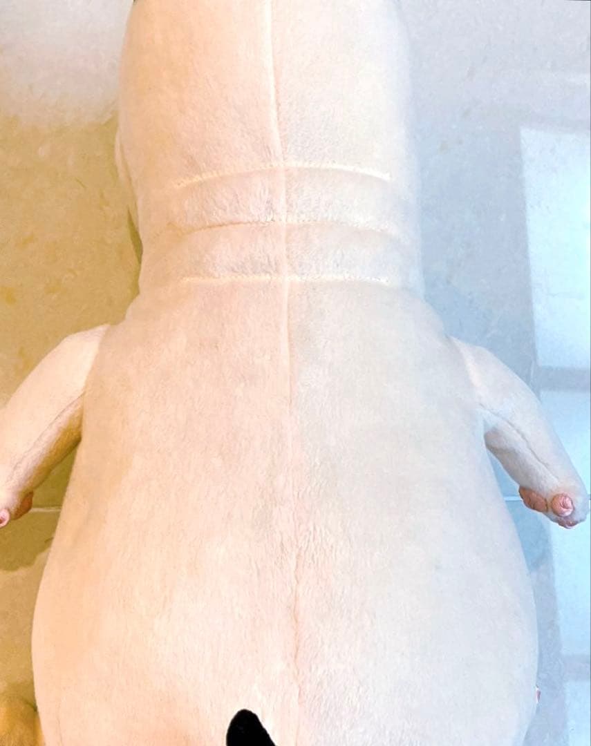 バムとケロ ぬいぐるみセット