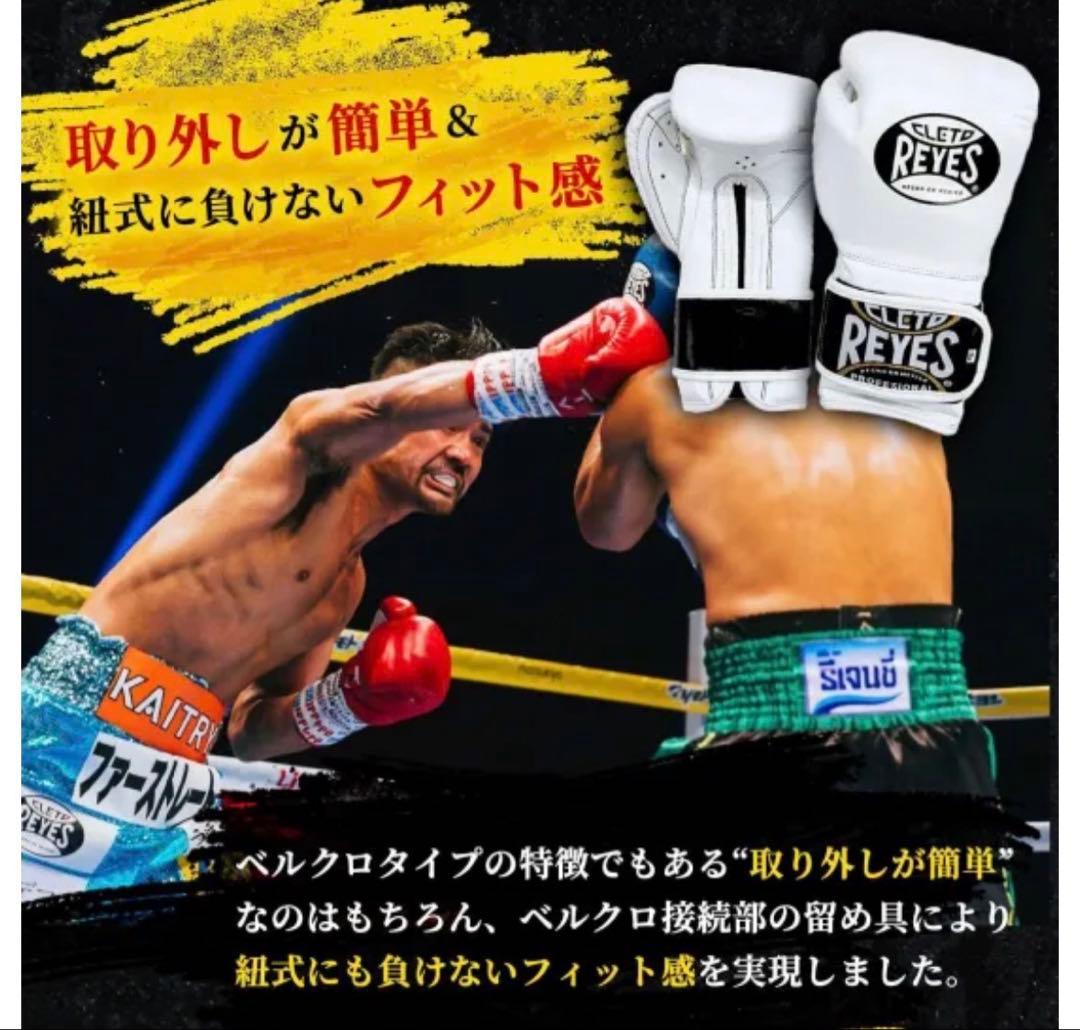 レイジェス(reyes) スパーリング用グローブ 14オンス
