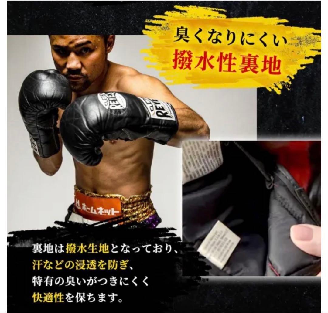レイジェス(reyes) スパーリング用グローブ 14オンス