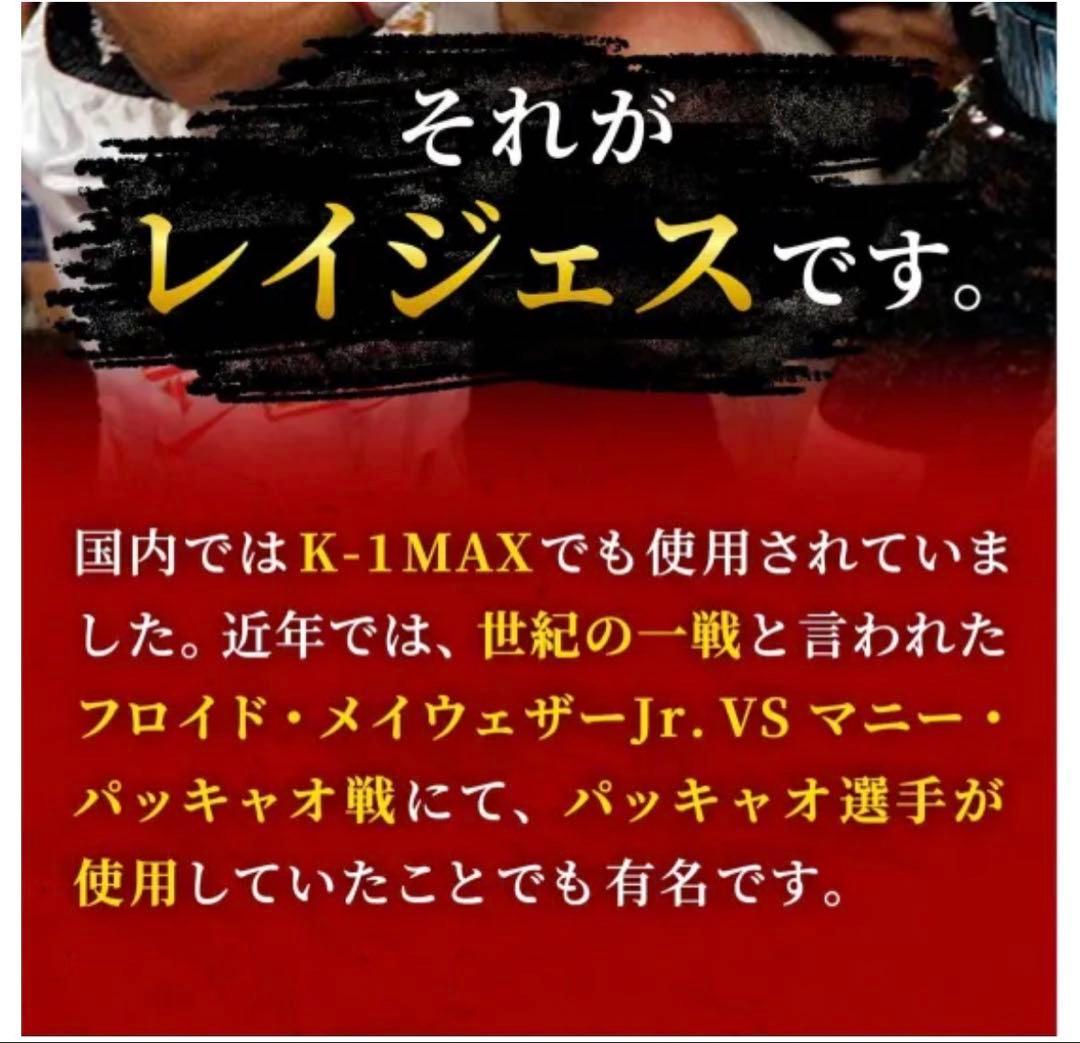 レイジェス(reyes) スパーリング用グローブ 14オンス