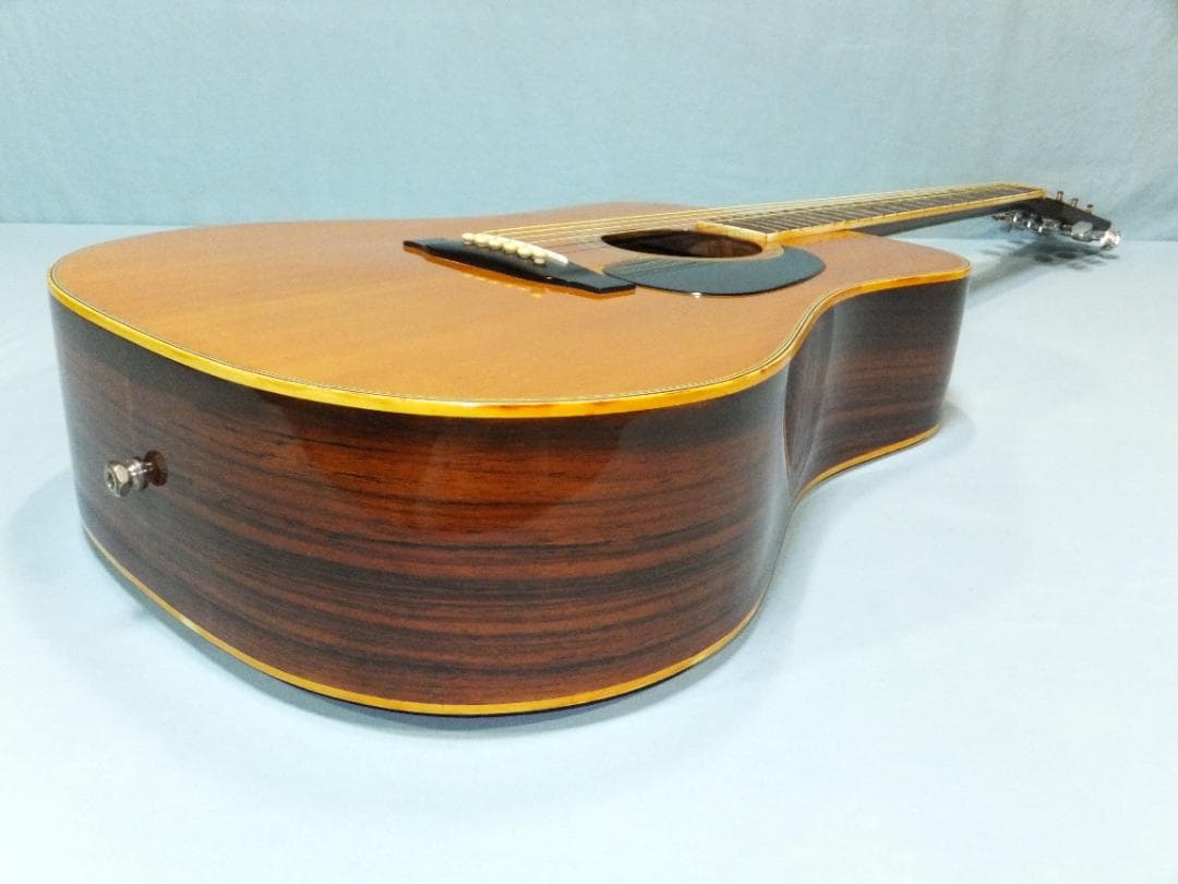 キャッツアイ CE-200 ハードケース・ピックアップ付き