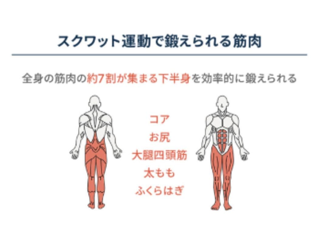 Bfit バウンス スクワット