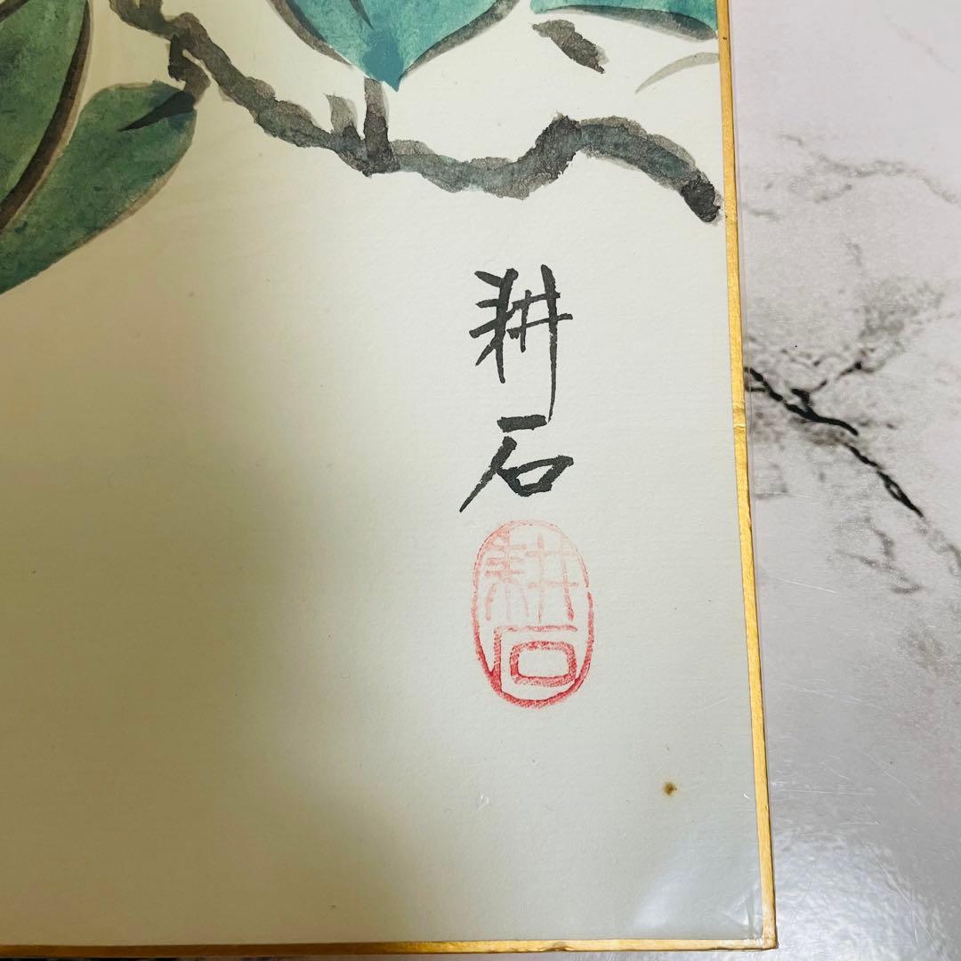 山田耕石　色紙　椿　水彩画