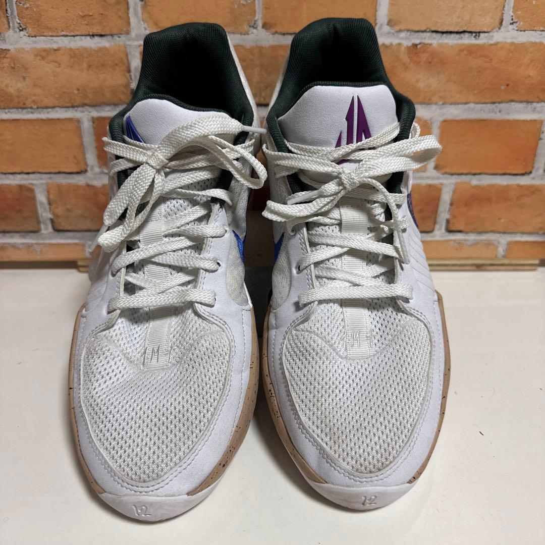 中古品　NIKE ja2 29.0cm