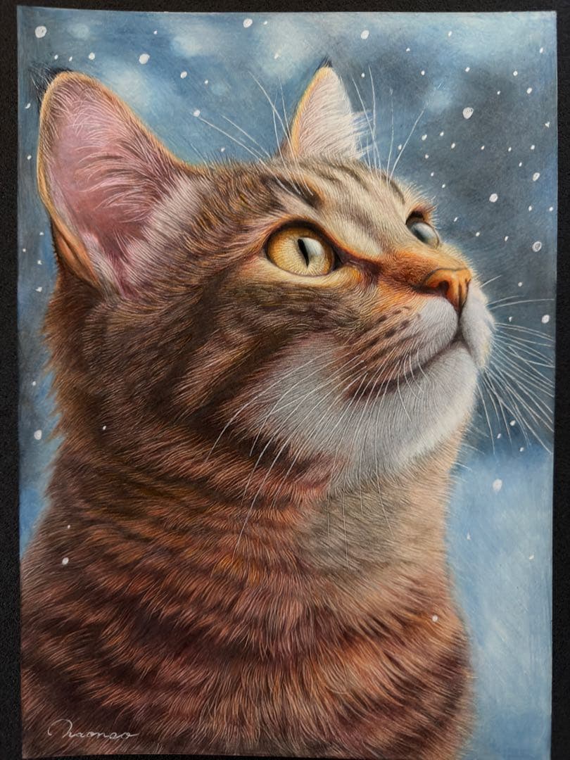 色鉛筆画A4 雪空を見つめるキジトラ猫