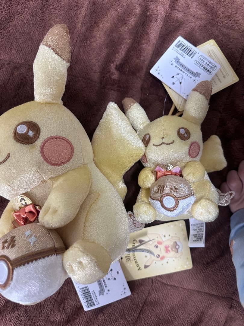 30周年記念ぬいぐるみピカピカ！ピカチュウ＋マスコットピカピカ！ピカチュウセット